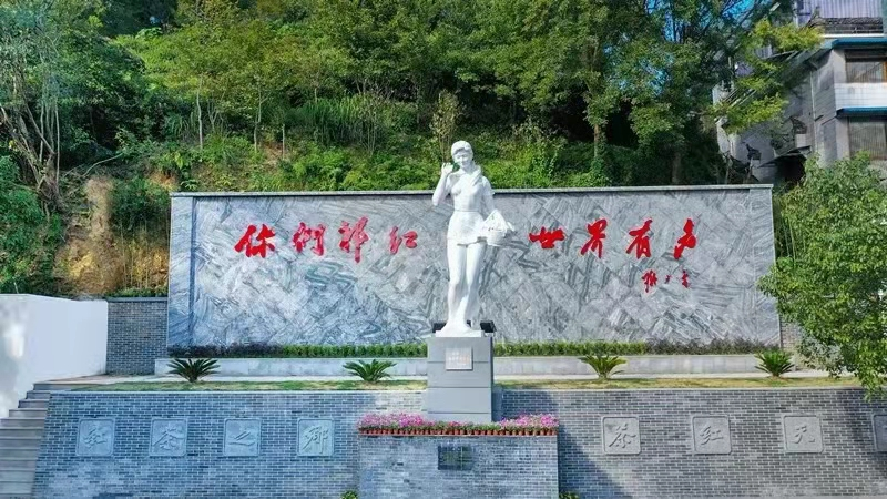 王昶:百年祁红的时代旗手!