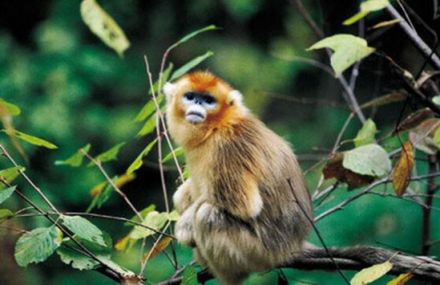 中国之窗|贵州——山地公园省 多彩贵州风