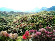 中国之窗|贵州——山地公园省 多彩贵州风