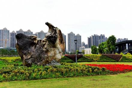 中国之窗|福建——清新福建 福往福来自游自在