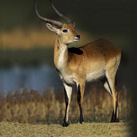 中国之窗|青海——大美青海 生态旅游