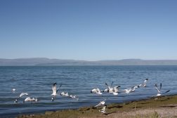 中国之窗|青海——大美青海 生态旅游