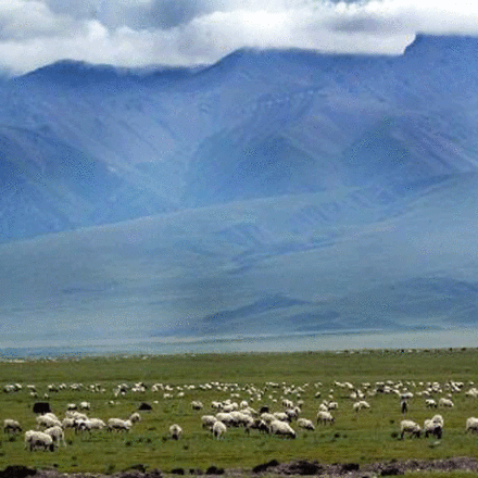 中国之窗|青海——大美青海 生态旅游