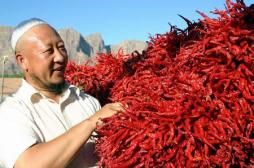 中国之窗|青海——大美青海 生态旅游