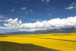 中国之窗|青海——大美青海 生态旅游