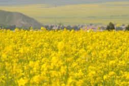 中国之窗|青海——大美青海 生态旅游