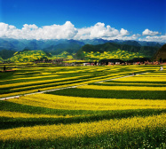 中国之窗|青海——大美青海 生态旅游