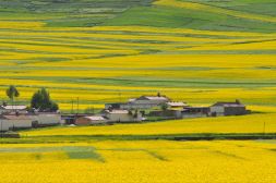 中国之窗|青海——大美青海 生态旅游