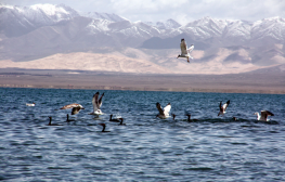 中国之窗|青海——大美青海 生态旅游
