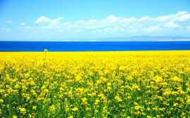 中国之窗|青海——大美青海 生态旅游