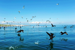 中国之窗|青海——大美青海 生态旅游