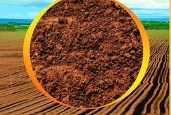 中国之窗|江西——江西风景独好