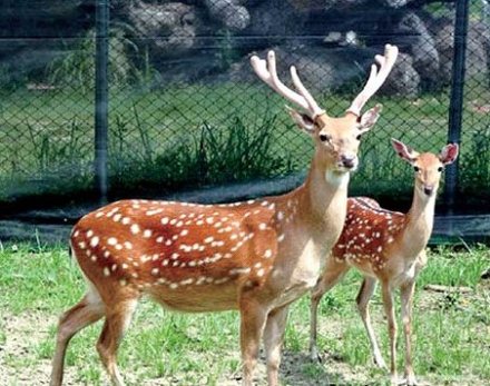 中国之窗|江西——江西风景独好