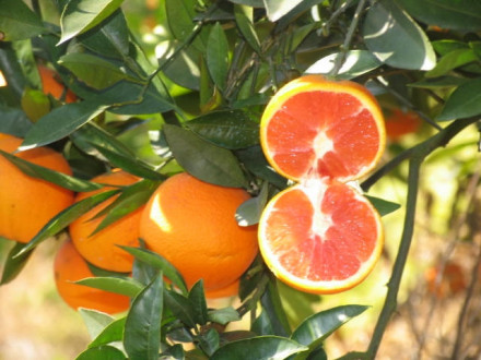 中国之窗|江西——江西风景独好