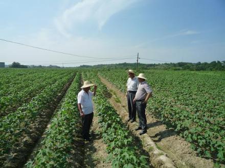 中国之窗|江西——江西风景独好