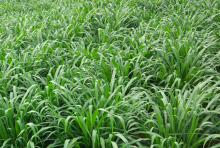 中国之窗|湖南——三湘四水 相约湖南