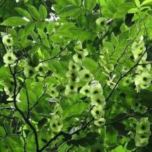 中国之窗|湖南——三湘四水 相约湖南