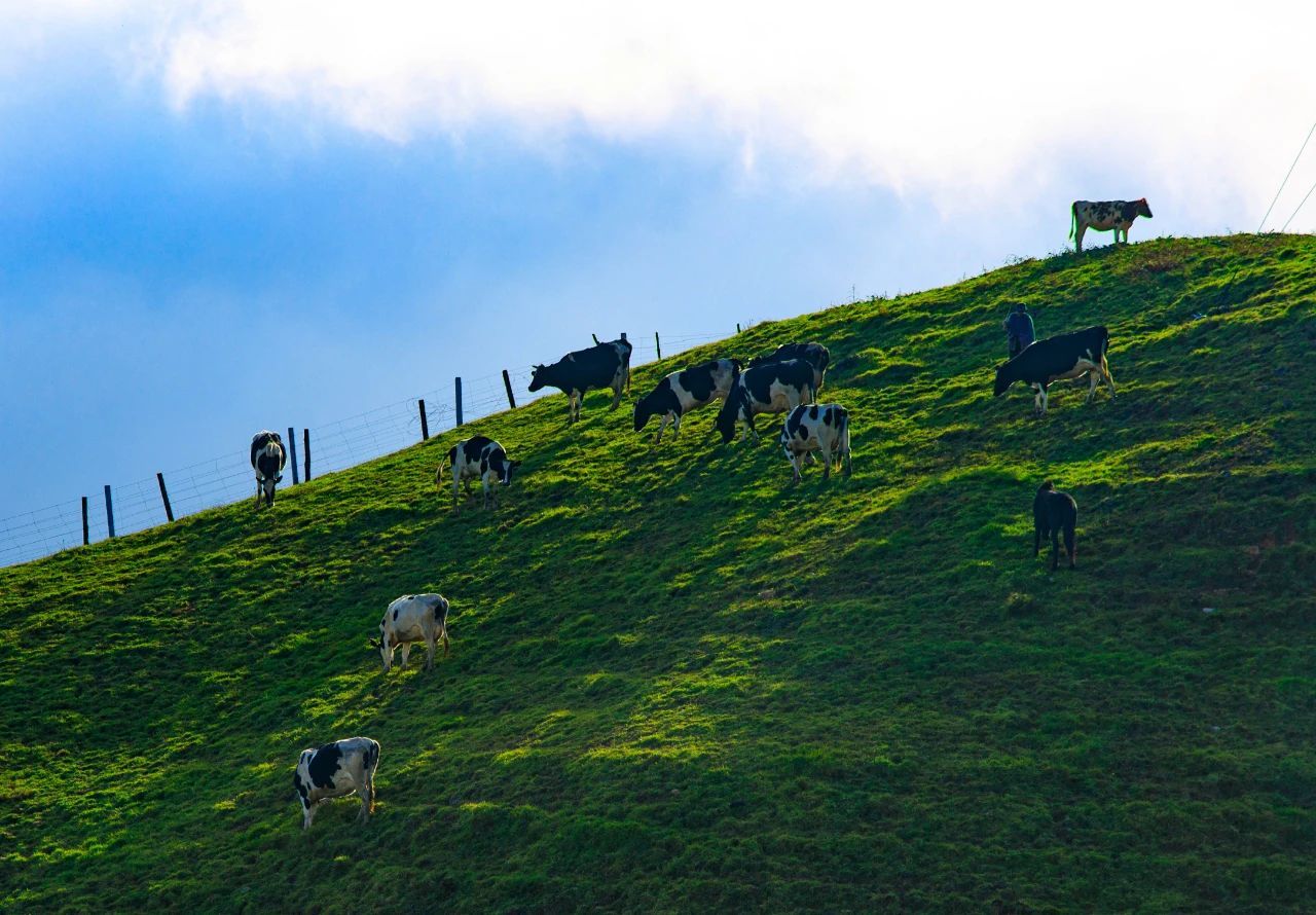 中国之窗|湖南——三湘四水 相约湖南