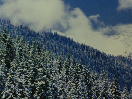 中国之窗|新疆——新疆是个好地方