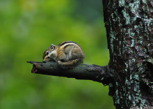 中国之窗|新疆——新疆是个好地方