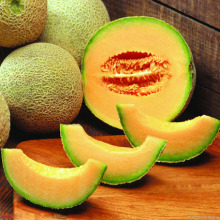 中国之窗|新疆——新疆是个好地方