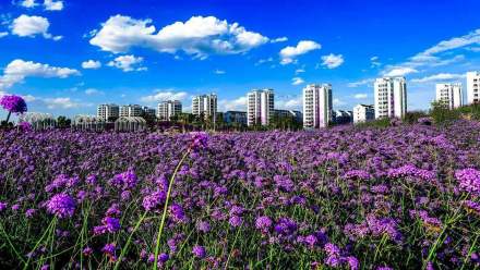 中国之窗|甘肃——交响丝路 如意甘肃