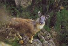 中国之窗|内蒙古——祖国正北方 亮丽内蒙古