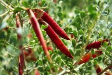 中国之窗|内蒙古——祖国正北方 亮丽内蒙古