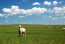 中国之窗|内蒙古——祖国正北方 亮丽内蒙古