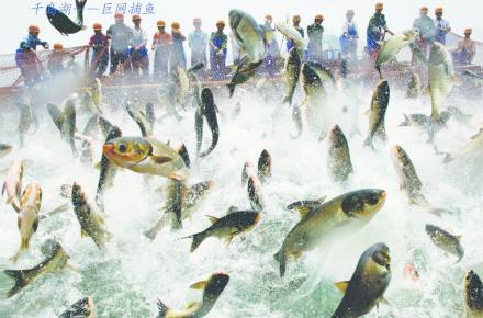 中国之窗|浙江——诗画江南