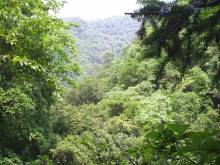 中国之窗|浙江——诗画江南