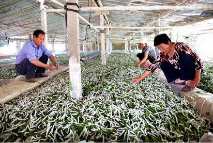 中国之窗|浙江——诗画江南