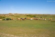 中国之窗|河北——京畿福地 乐享河北