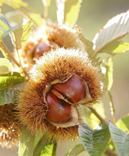 中国之窗|河北——京畿福地 乐享河北