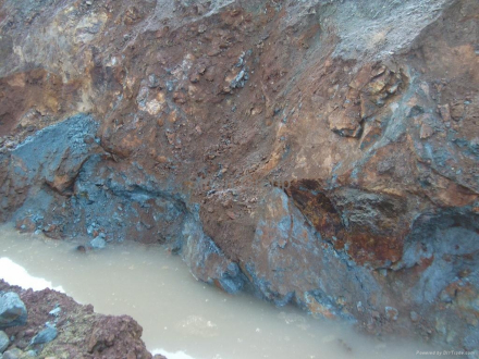 中国之窗|上海——发现更多 体验更多 四季上海