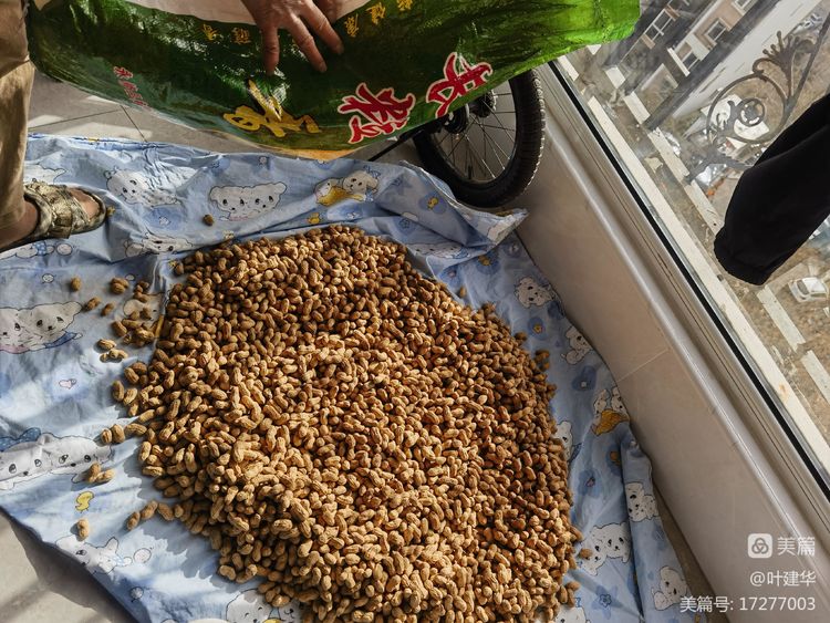 正月初九,幸福长久