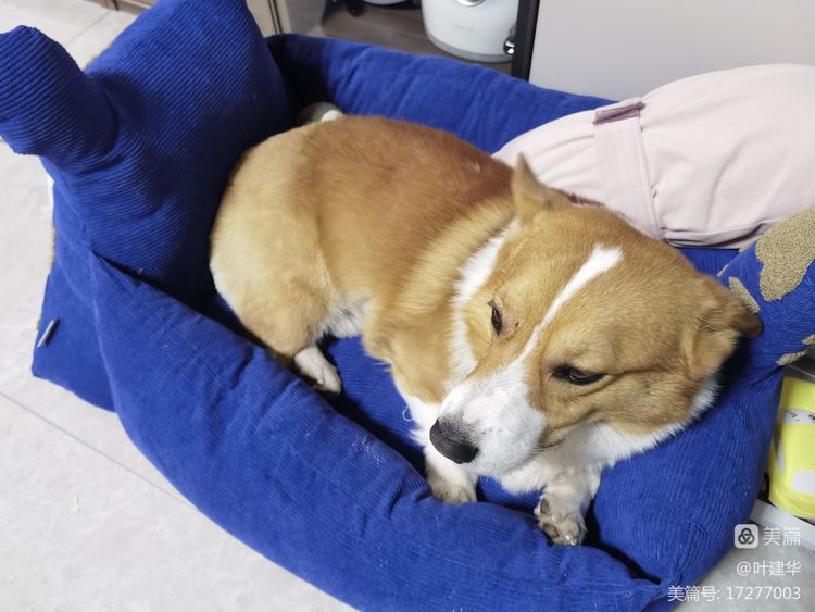 正月初九,幸福长久