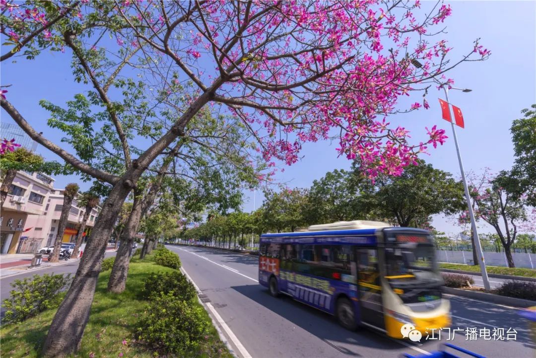 新春将至,江门乡亲刘德华给大家送祝福啦!“世间最美的风景,都在回家的路上…”