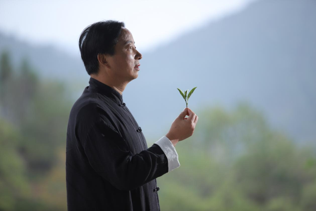 王昶:百年祁红的时代旗手!