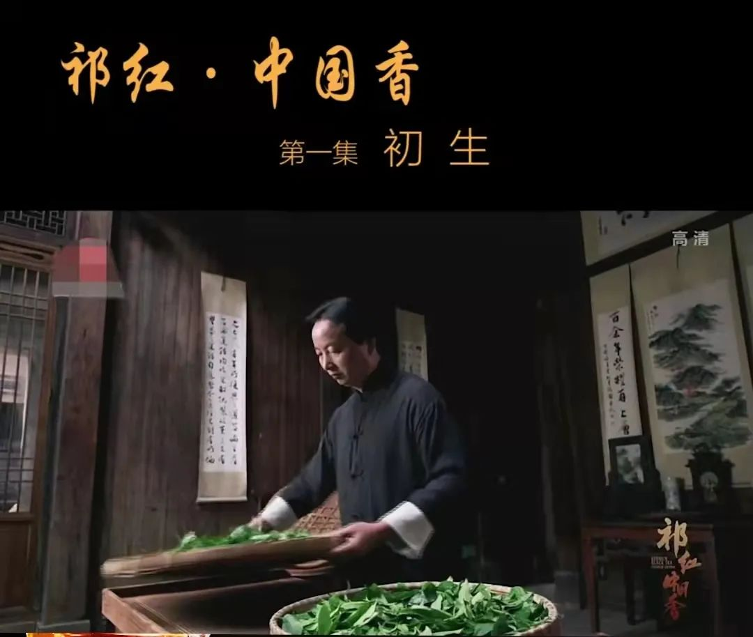 王昶:百年祁红的时代旗手!