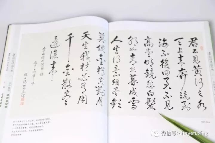 《茶韵诗情翰墨趣》 陈文怀著,刘祖生作序,陈宗懋、屠幼英、王岳飞等加持