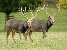 中国之窗|江苏——水韵江苏 有你会更美