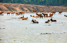 中国之窗|江苏——水韵江苏 有你会更美