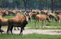 中国之窗|江苏——水韵江苏 有你会更美