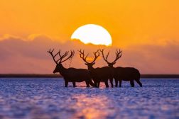 中国之窗|江苏——水韵江苏 有你会更美