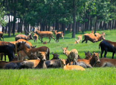 中国之窗|江苏——水韵江苏 有你会更美