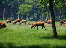 中国之窗|江苏——水韵江苏 有你会更美