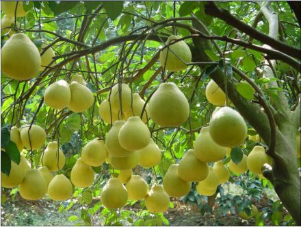 中国之窗|广西——秀甲天下 壮美广西