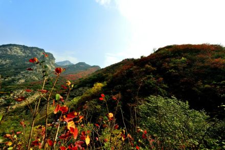 中国之窗|陕西——文化陕西