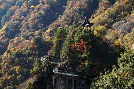 中国之窗|陕西——文化陕西